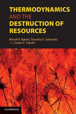 Carte Thermodynamics and the Destruction of Resources Bhavik R. BakshiTimothy G. GutowskiDusan P. Sekulic