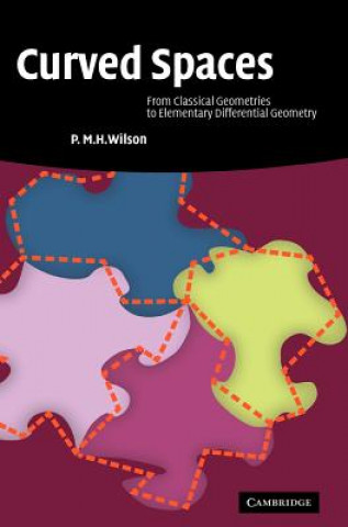 Книга Curved Spaces P. M. H. Wilson