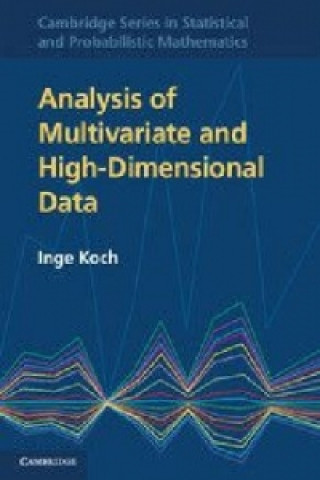 Kniha Analysis of Multivariate and High-Dimensional Data Inge Koch