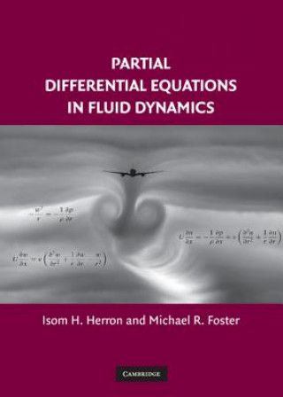 Kniha Partial Differential Equations in Fluid Dynamics Isom H. HerronMichael R. Foster