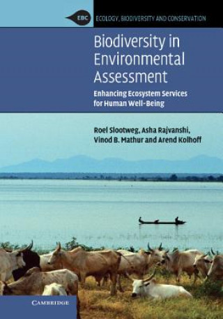 Könyv Biodiversity in Environmental Assessment Roel SlootwegAsha RajvanshiVinod B. MathurArend Kolhoff