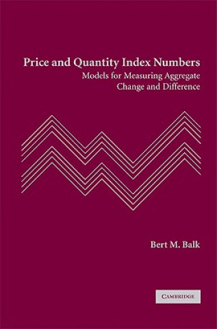 Kniha Price and Quantity Index Numbers Bert M. Balk