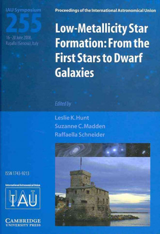 Książka Low-metallicity Star Formation (IAU S255) Leslie K. HuntSuzanne C. MaddenRaffaella Schneider