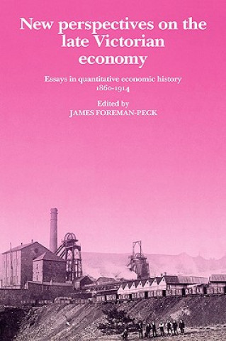 Книга New Perspectives on the Late Victorian Economy James Foreman-Peck