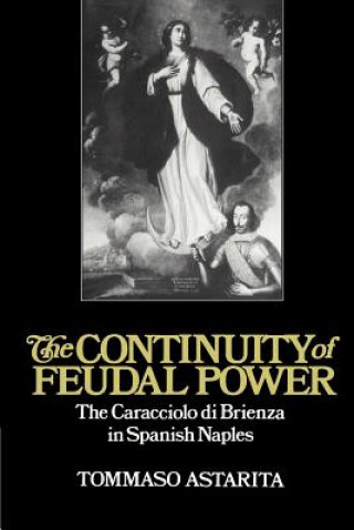 Buch Continuity of Feudal Power Astarita Tommaso