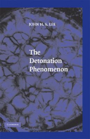 Książka Detonation Phenomenon John H. S.  Lee