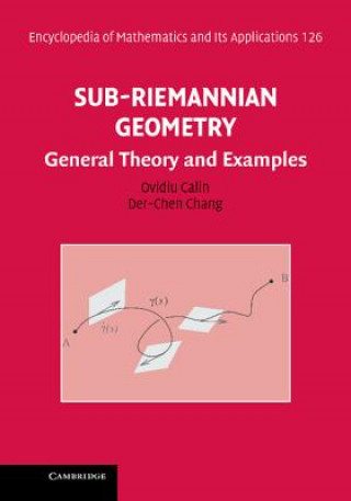 Boek Sub-Riemannian Geometry Ovidiu CalinDer-Chen Chang