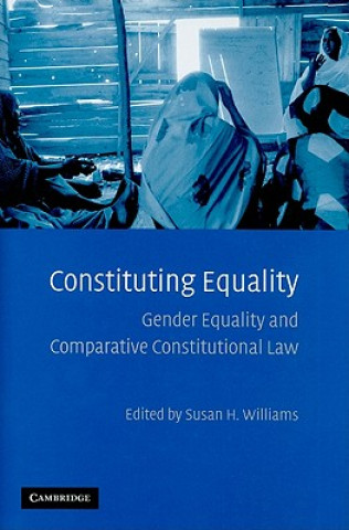 Kniha Constituting Equality Susan H. Williams