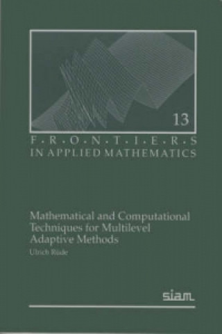 Knjiga Mathematical and Computational Techniques for Multilevel Adaptive Methods Ullrich Rüde