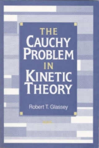 Kniha Cauchy Problem in Kinetic Theory Robert T. Glassey