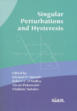 Book Singular Perturbations in Hysteresis Michael P. MortellRobert E. O`MalleyAlexei PokrovskiiVladimir Sobolev