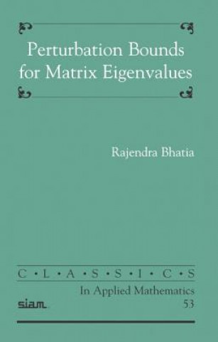 Kniha Perturbation Bounds for Matrix Eigenvalues R. Bhatia
