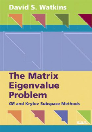 Knjiga Matrix Eigenvalue Problem David S.  Watkins