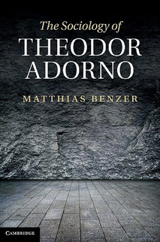 Könyv Sociology of Theodor Adorno Matthias Benzer
