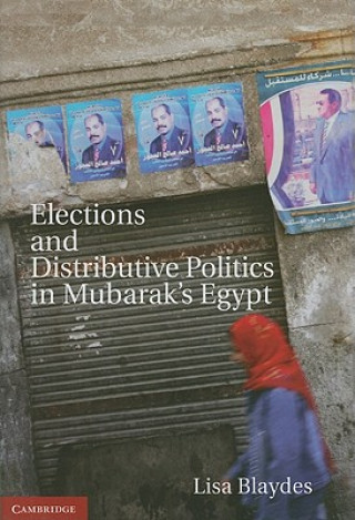 Könyv Elections and Distributive Politics in Mubarak's Egypt Lisa Blaydes