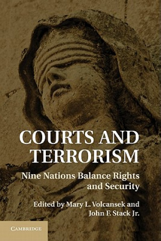 Könyv Courts and Terrorism Mary L. VolcansekJohn F. Stack
