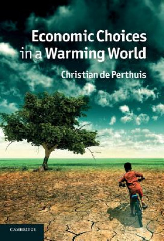 Carte Economic Choices in a Warming World Christian de PerthuisMichael Westlake