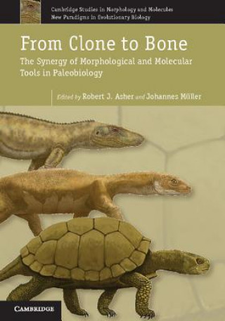 Book From Clone to Bone Robert J. AsherJohannes Müller