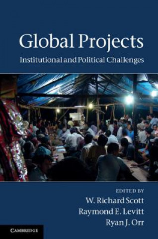 Kniha Global Projects W. Richard ScottRaymond E. LevittRyan J. Orr