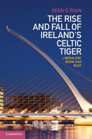 Książka Rise and Fall of Ireland's Celtic Tiger Seán Ó`Riain