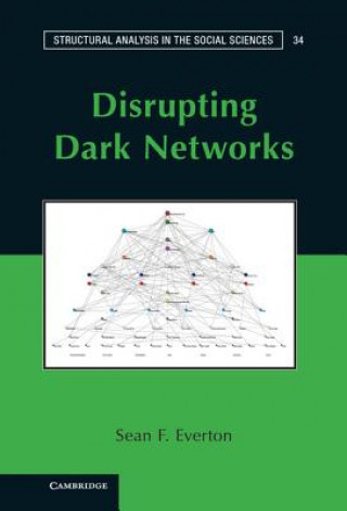 Kniha Disrupting Dark Networks Sean F. Everton