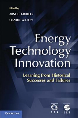 Livre Energy Technology Innovation Arnulf GrüblerCharlie Wilson