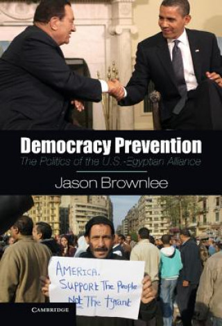 Книга Democracy Prevention Jason Brownlee