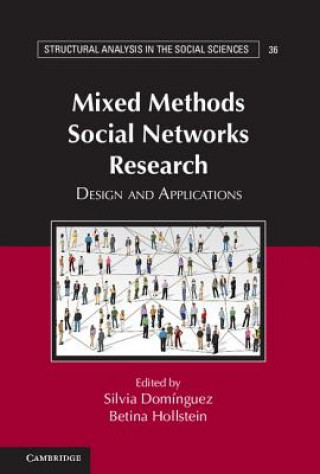 Livre Mixed Methods Social Networks Research Silvia DomínguezBetina Hollstein