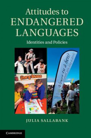 Könyv Attitudes to Endangered Languages Julia Sallabank