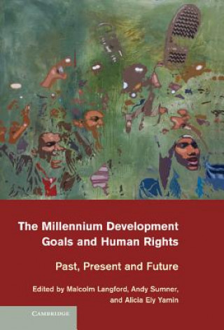 Könyv Millennium Development Goals and Human Rights Malcolm LangfordAndy SumnerAlicia Ely Yamin
