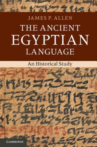 Carte Ancient Egyptian Language James P. Allen