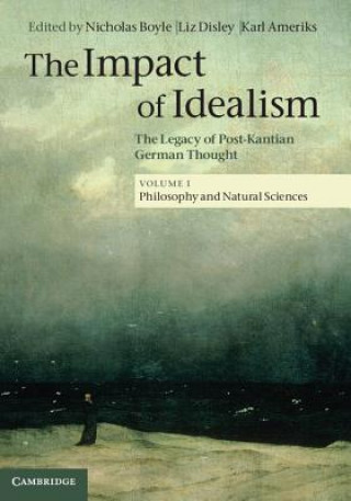 Buch Impact of Idealism Nicholas BoyleLiz DisleyKarl Ameriks