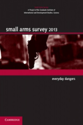 Книга Small Arms Survey 2013 Small Arms Survey