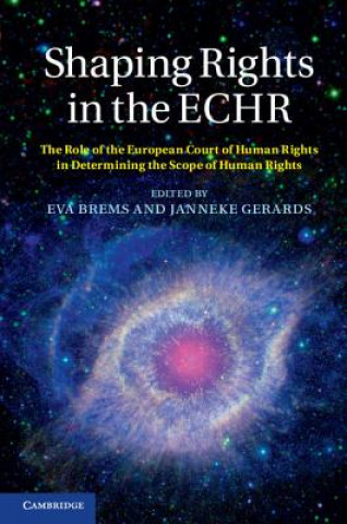Kniha Shaping Rights in the ECHR Eva BremsJanneke Gerards