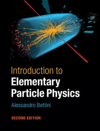 Könyv Introduction to Elementary Particle Physics Alessandro Bettini
