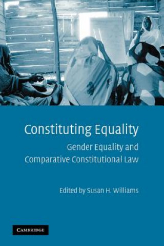 Buch Constituting Equality Susan H. Williams