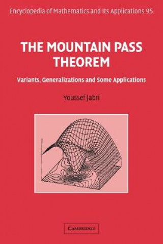 Kniha Mountain Pass Theorem Youssef Jabri