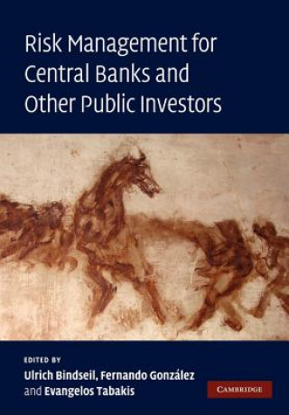 Book Risk Management for Central Banks and Other Public Investors Ulrich BindseilFernando GonzalezEvangelos Tabakis