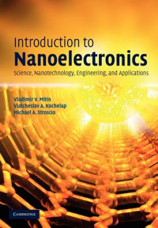Kniha Introduction to Nanoelectronics Vladimir V. MitinViatcheslav A. KochelapMichael A. Stroscio