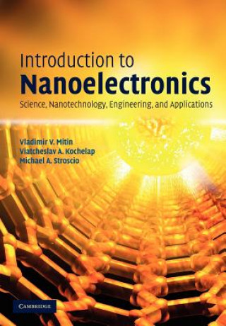 Buch Introduction to Nanoelectronics Vladimir V. MitinViatcheslav A. KochelapMichael A. Stroscio