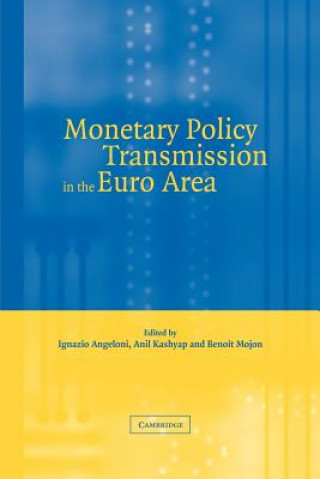 Kniha Monetary Policy Transmission in the Euro Area Ignazio AngeloniAnil K. KashyapBenoît Mojon