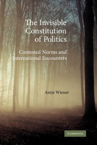 Книга Invisible Constitution of Politics Antje Wiener