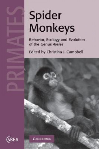 Carte Spider Monkeys Christina J. Campbell