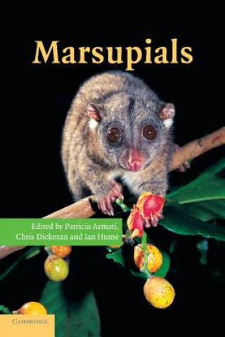 Könyv Marsupials Patricia J. ArmatiChris R. DickmanIan D. Hume