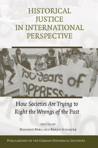 Könyv Historical Justice in International Perspective Manfred BergBernd Schaefer