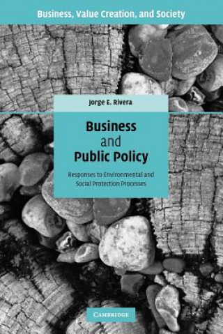 Könyv Business and Public Policy Jorge E. Rivera