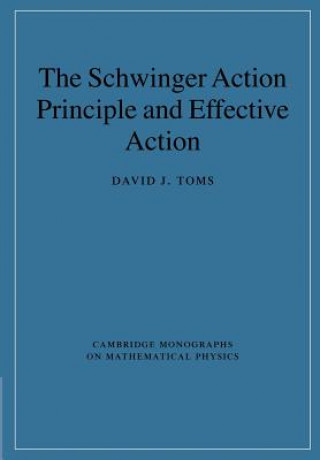 Könyv Schwinger Action Principle and Effective Action David J. Toms