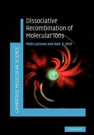 Kniha Dissociative Recombination of Molecular Ions Mats LarssonAnn E. Orel