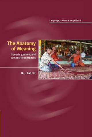 Könyv Anatomy of Meaning N. J. Enfield