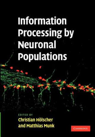 Knjiga Information Processing by Neuronal Populations Christian  HolscherMatthias  Munk